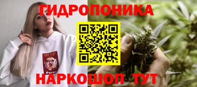 PSILOCYBIN Можайск